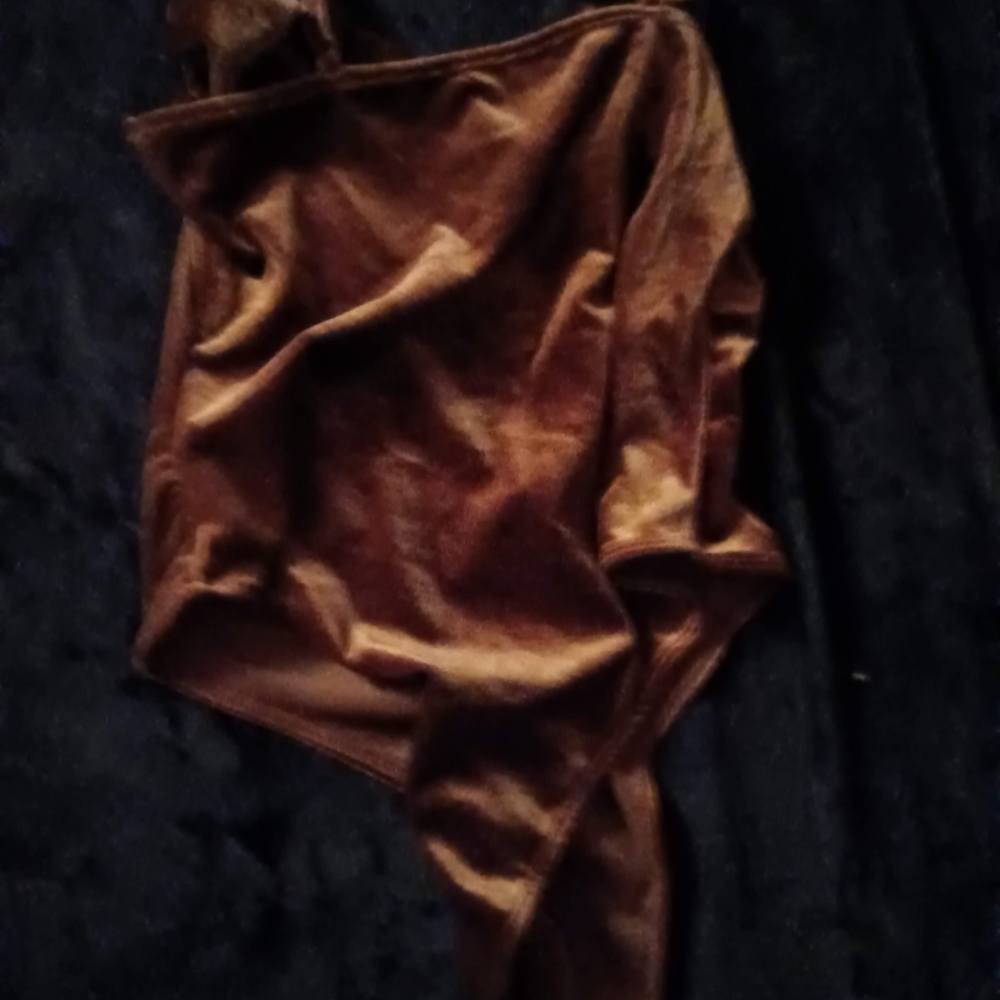 SHEIN Brown Velvet Chemise